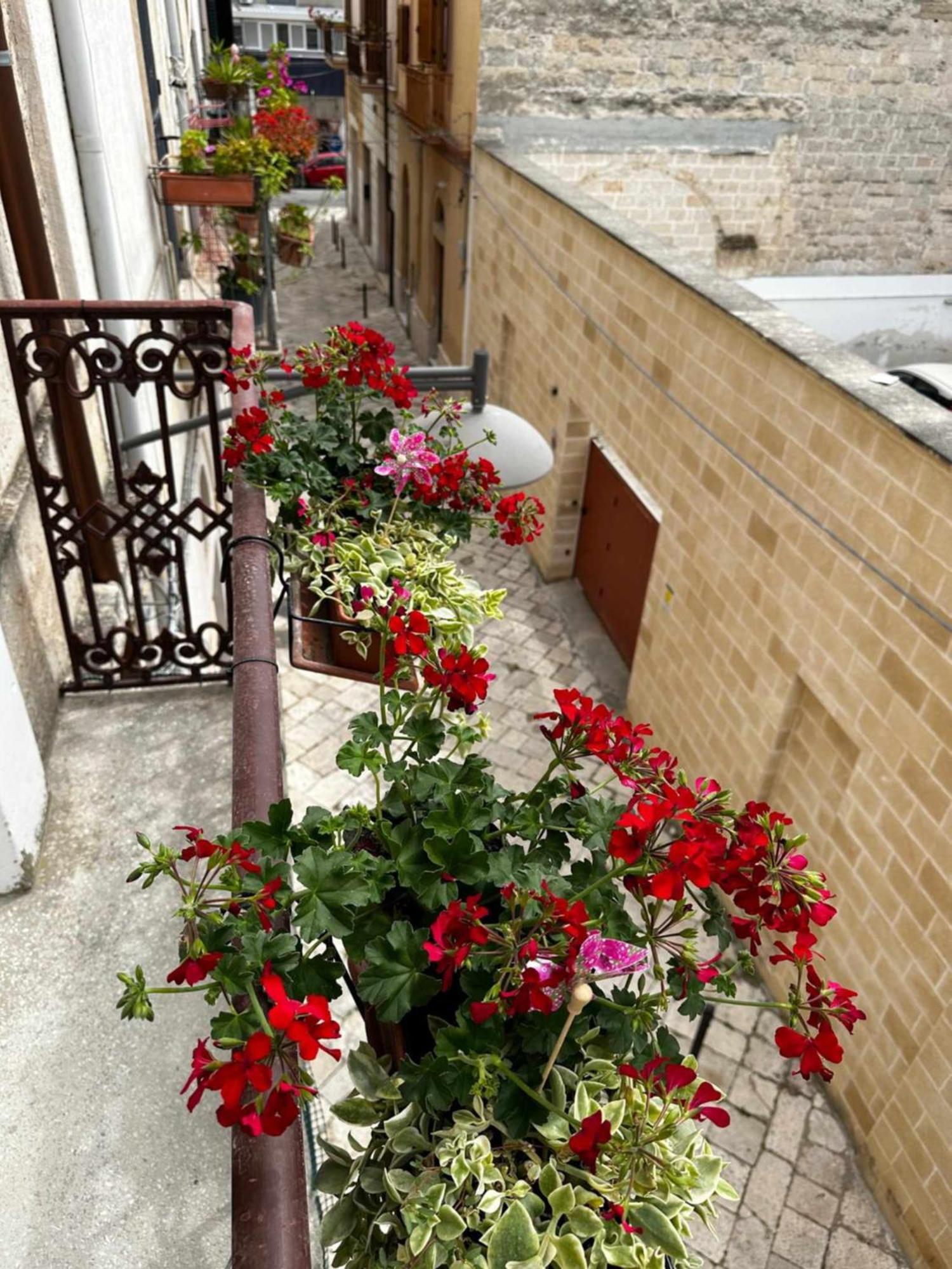 Zephir Suite Bríndisi Exterior foto